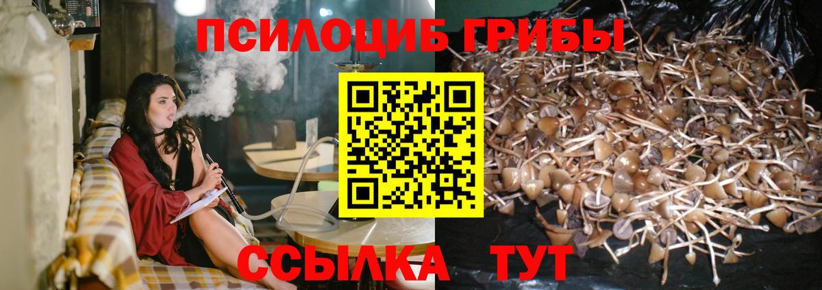 Галлюциногенные грибы прущие грибы  Вход с VPN  Мценск 